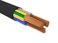 ВВГнг(А)-LS 3х95,0 мс-1 (Алюр)